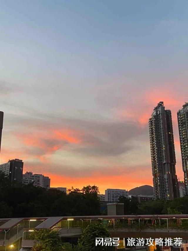 务精英专属高端体验澳门新葡京酒店九游会网