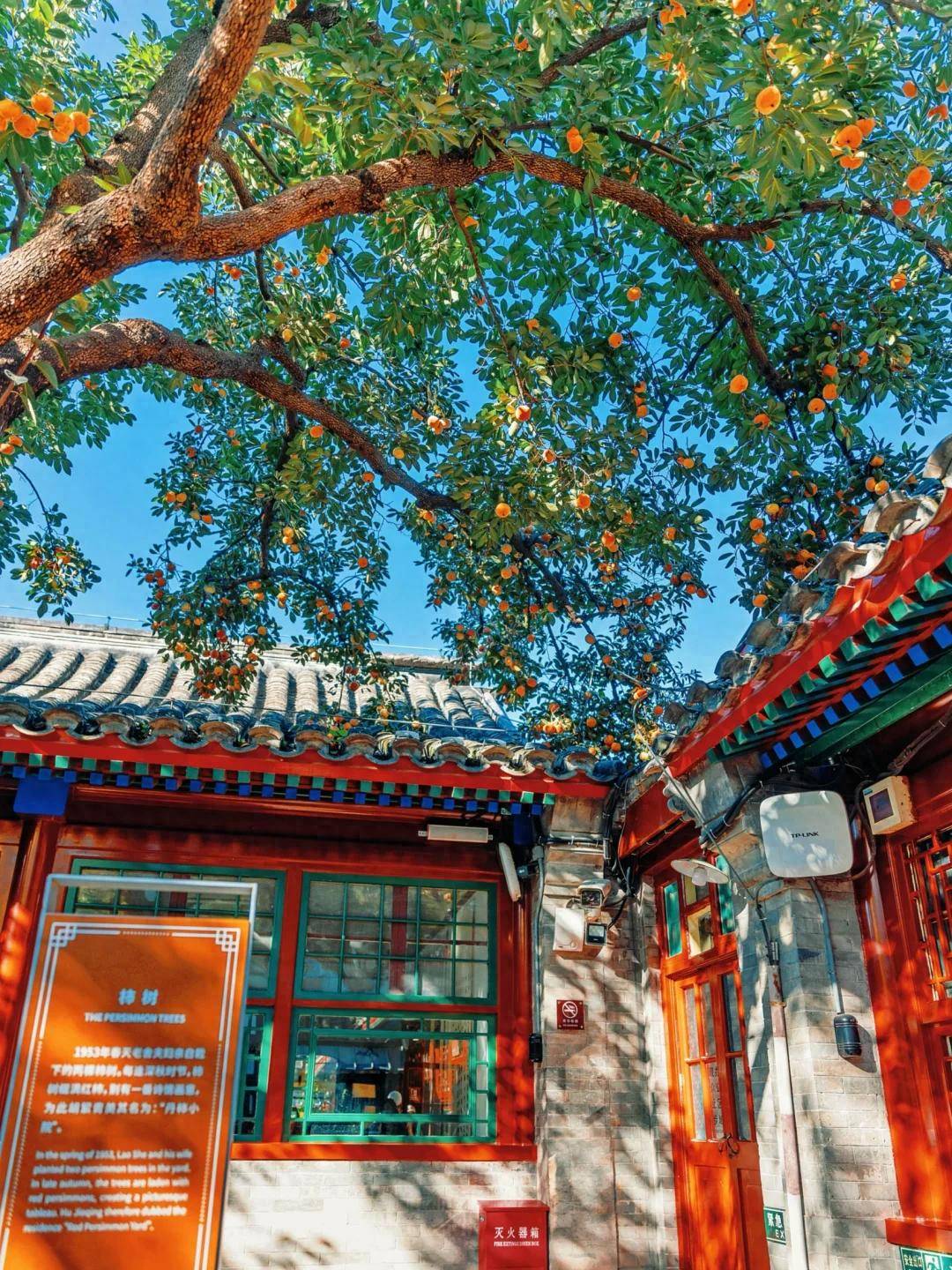 的私人订制旅行社带您告别传统跟团九游会北京定制游崛起！这5家靠谱(图2)